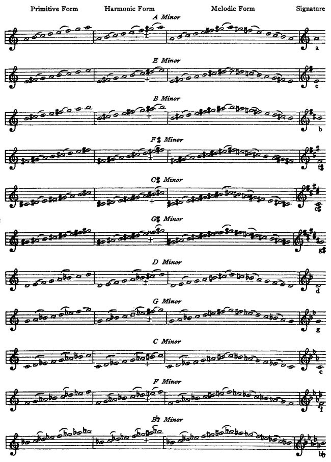  BEATBIT Piano Note Strips with Solfege (Do Re Mi