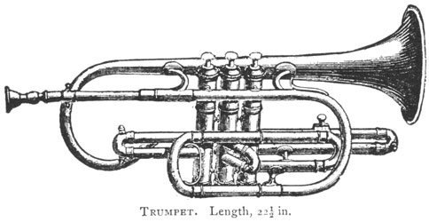 trumpet